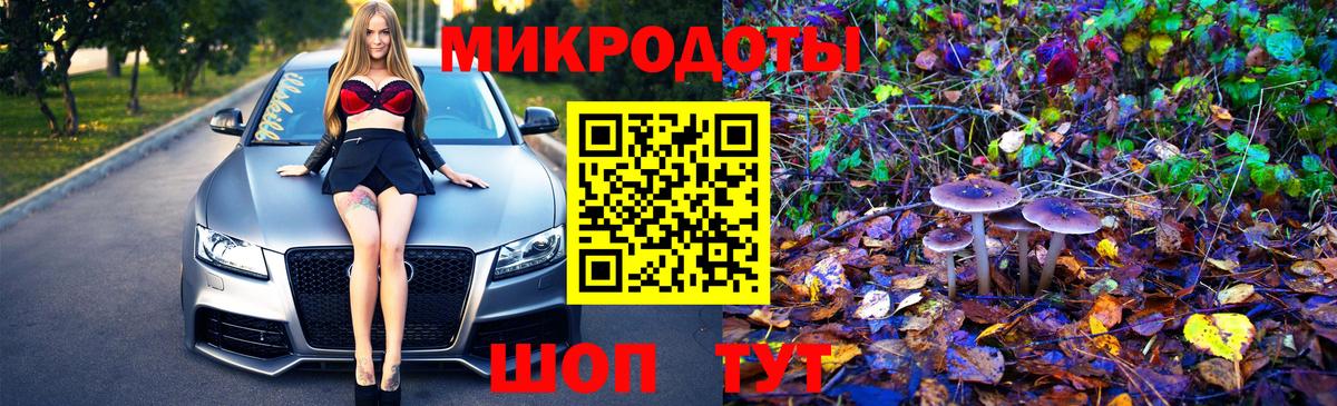 Псилоцибиновые грибы мухоморы Междуреченск